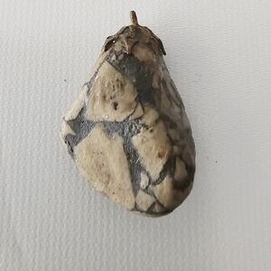 Natural Dragon Septarian Quartz Carved Stone Reptile Hideaway Charm Pendant